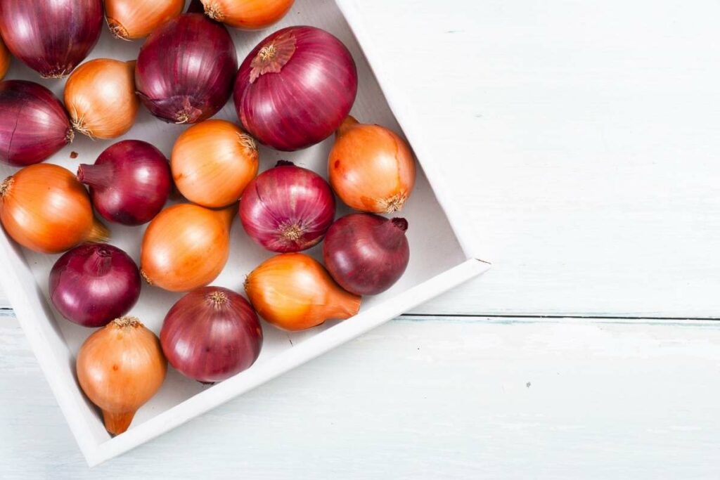 Onions - #13 on the list of zero calorie foods Zero Calorie Foods List onions