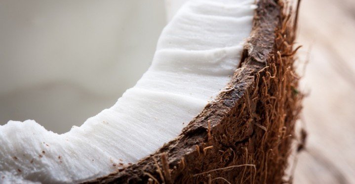 inside of a coconut inside of a coconut