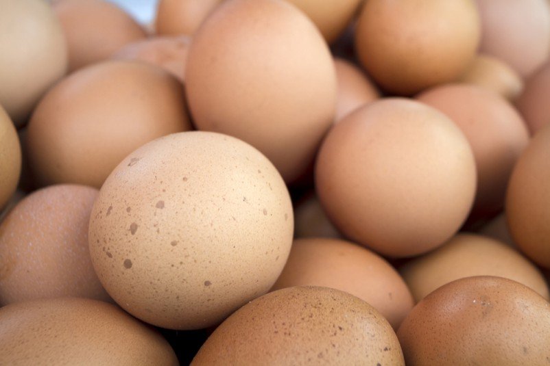eggs weight loss tips eggs weight loss tips