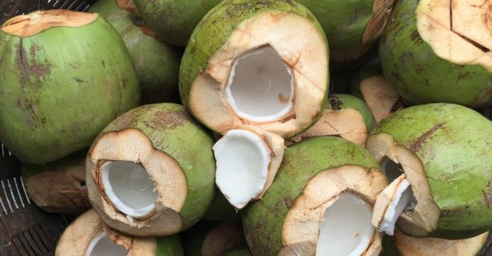 open green coconuts with milk open green coconuts with milk