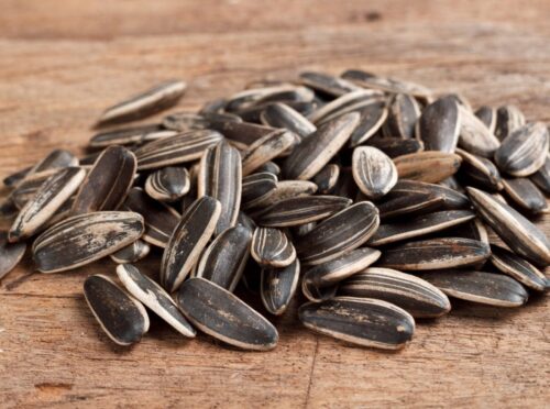 Sunflower Seeds are high in iron Sunflower Seeds are high in iron