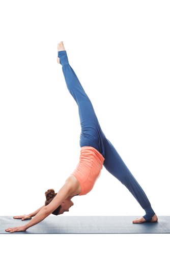 One-Legged Downward Facing Dog One-Legged Downward Facing Dog