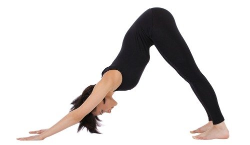 downward facing dog is a great yoga pose for hamstring flexibility downward facing dog is a great yoga pose for hamstring flexibility