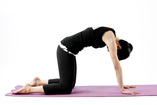 Cat Pose - Marjaryasana Cat Pose - Marjaryasana