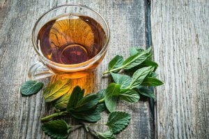 Green tea weight loss tip Green tea weight loss tips