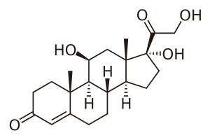 cortisol that causes belly fat cortisol that causes belly fat