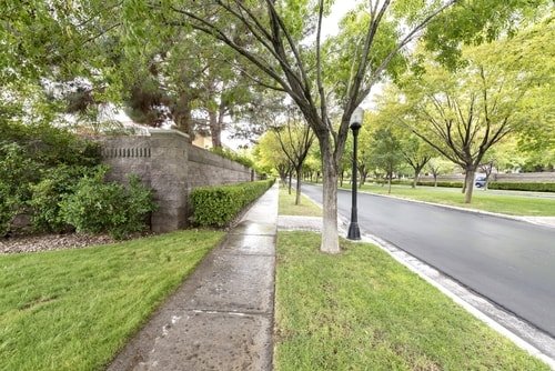 daily walk to lose weight daily walk to lose weight