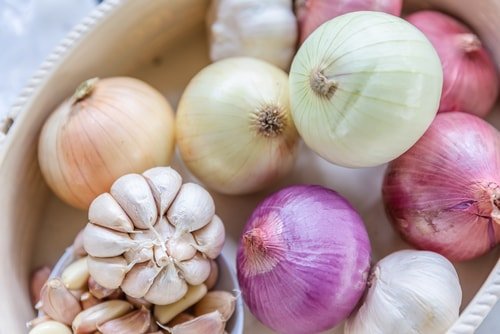 Garlic and Onions Candida Garlic and Onions Candida