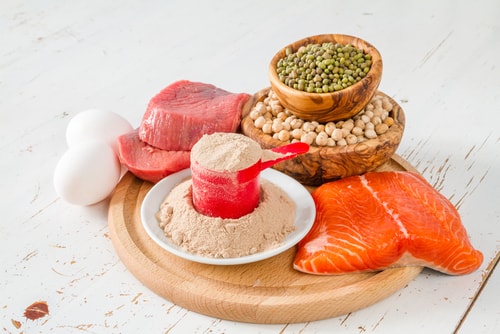 eat protein to lose weight eat protein to lose weight