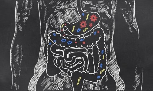 healthy gut bacteria can help you get rid of belly bloat healthy gut bacteria can help you get rid of belly bloat