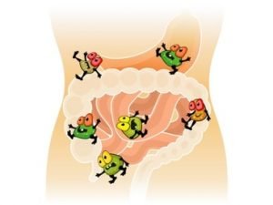 healing your gut is one of the bone broth benefits healing your gut is one of the bone broth benefits