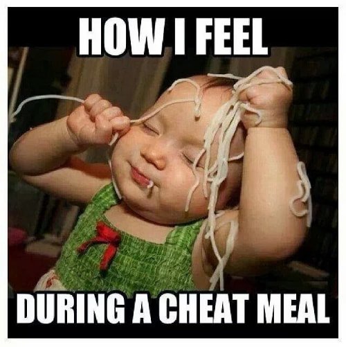 cheat meal dieting meme cheat meal dieting meme
