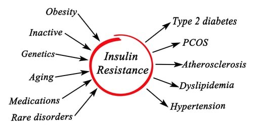 high insulin can cause PCOS high insulin can cause PCOS