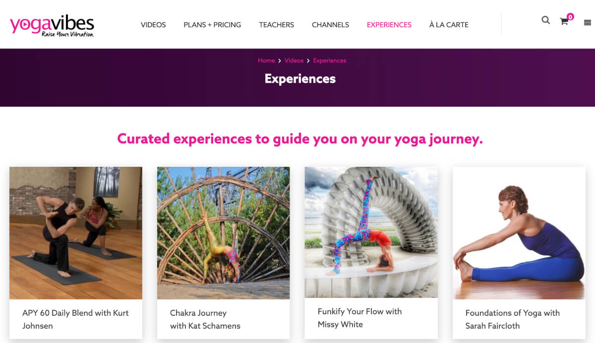yoga vibes program yoga vibes program