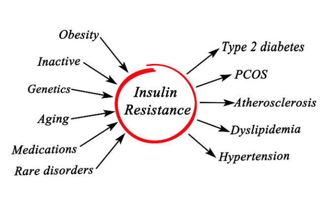 insulin resistance Insulin Resistance Diagram