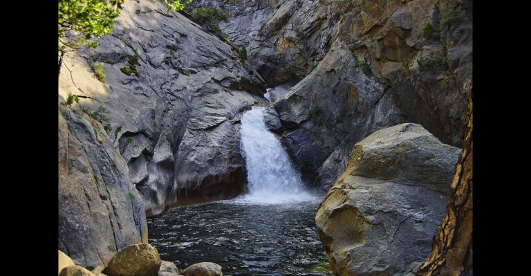 25 Top National Parks to Discover Across the US