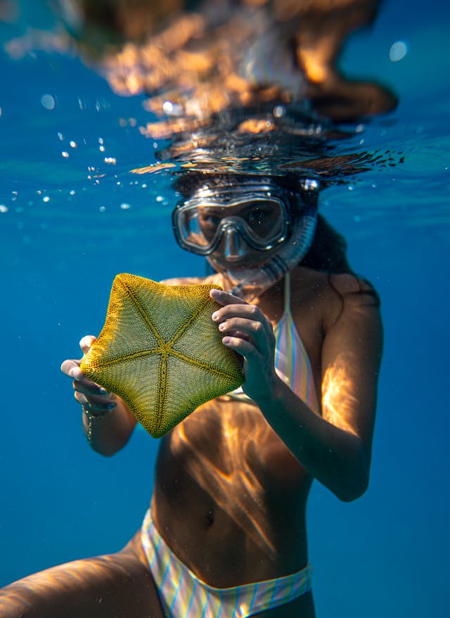 11 Unforgettable Snorkeling Gems in the Caribbean