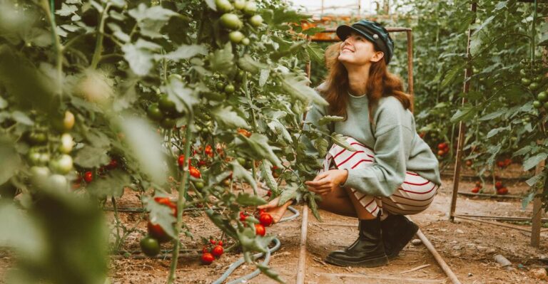 11 Natural Methods to Keep Squirrels Away From Your Tomato Plants