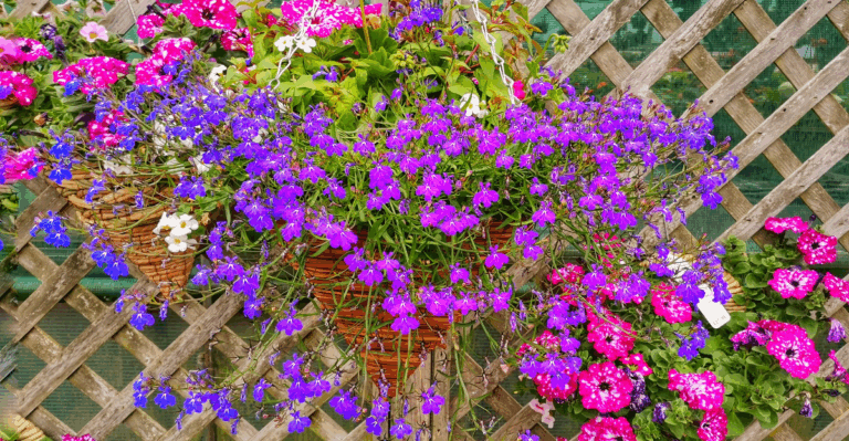 15 Clever Ways to Garden on Your Balcony with Containers