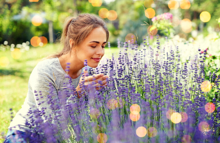11 Essential Secrets to Growing Stunning Lavender