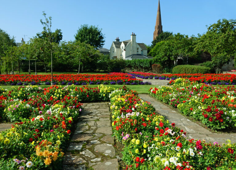 12 Gorgeous and Fragrant Flowers Perfect for Your Summer Garden