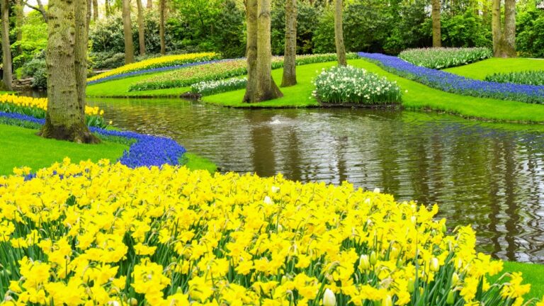 13 Beautiful Plants That Will Enhance Your Daffodils’ Beauty