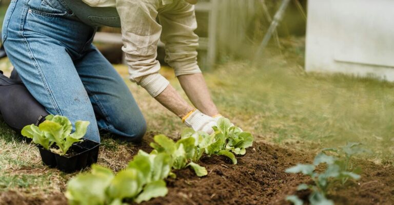 15 Essential Gardening Tasks for Every Season