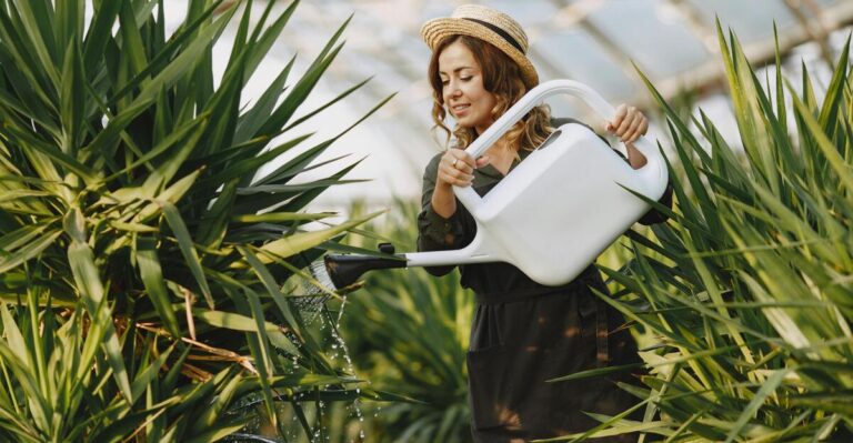15 Essential Watering Tips for a Beautiful Garden